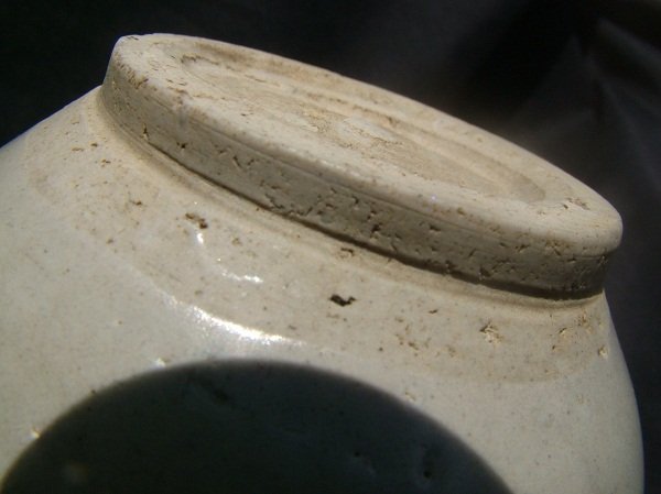 Fine  and Large Spotted Jar with Two Lugs