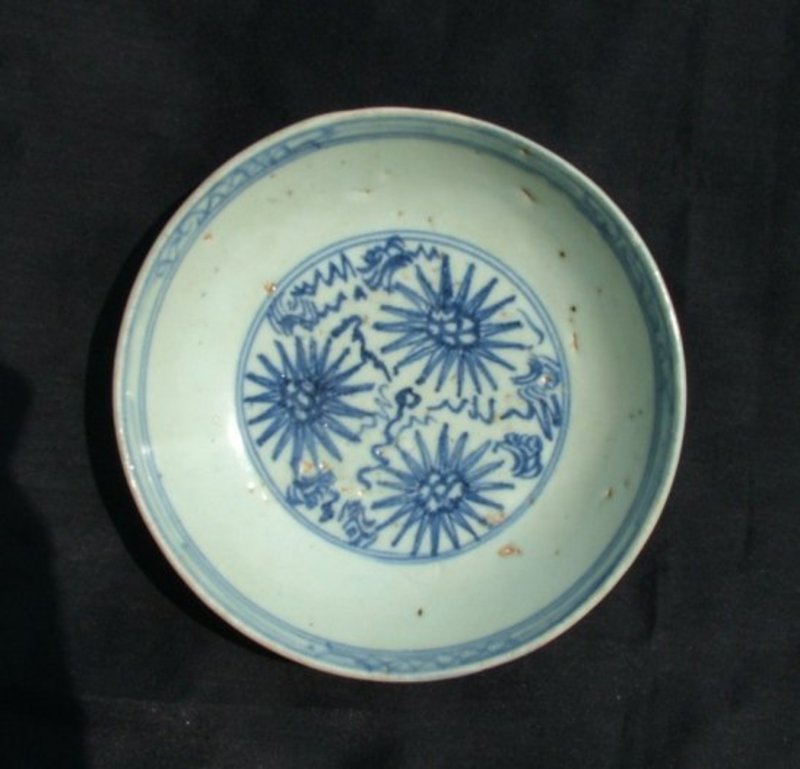 Qing Blue and White Dish