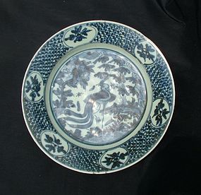 Blue and White Ming Swatow Dish with Phoenix  (27.5 cm)