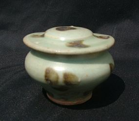 A Rare Song Celadon Jar with Iron Spot