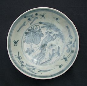 Ming - Swatow Dish with Phoenix #1