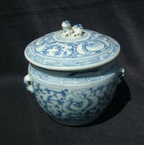 Qing Blue and White Small Kamcheng Pot