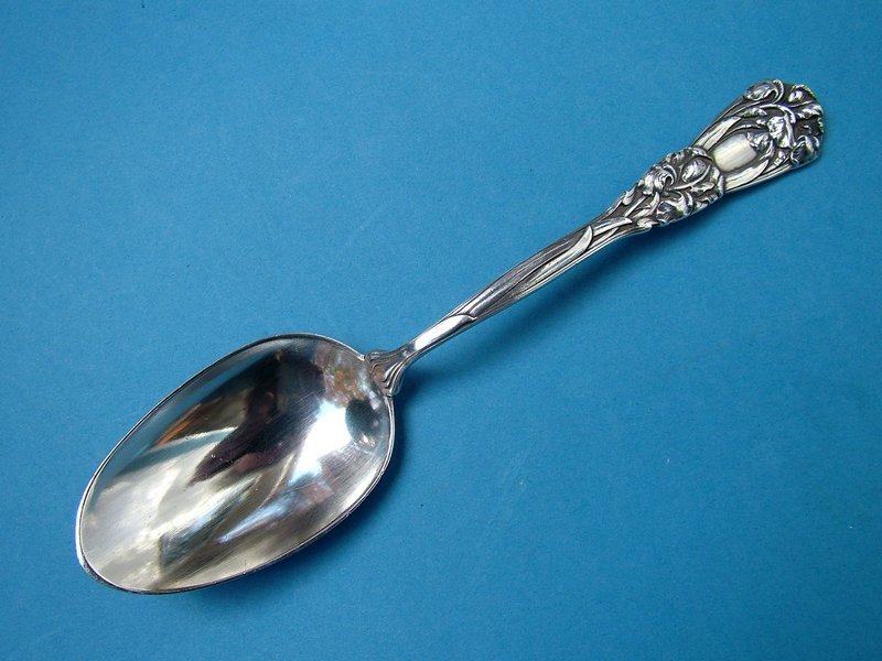Durgin IRIS pap spoon