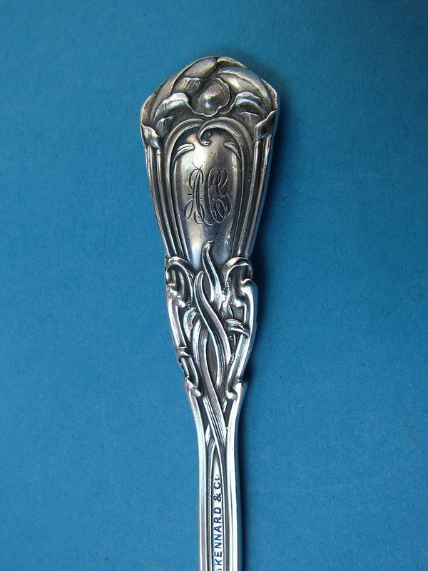 Durgin IRIS pap spoon