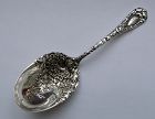 Durgin CHRYSANTHEMUM sterling tea caddy spoon