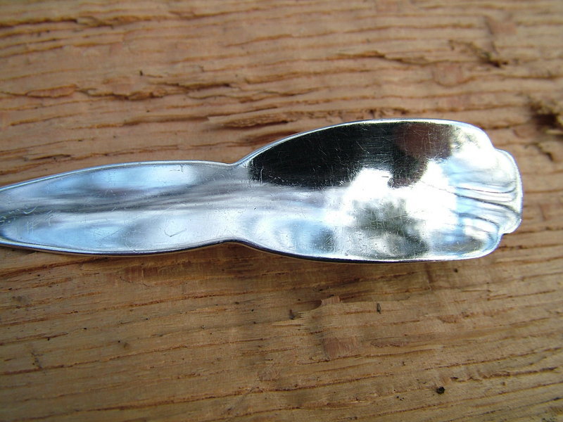 elusive Shiebler FLORA number 11 teaspoon, Boston