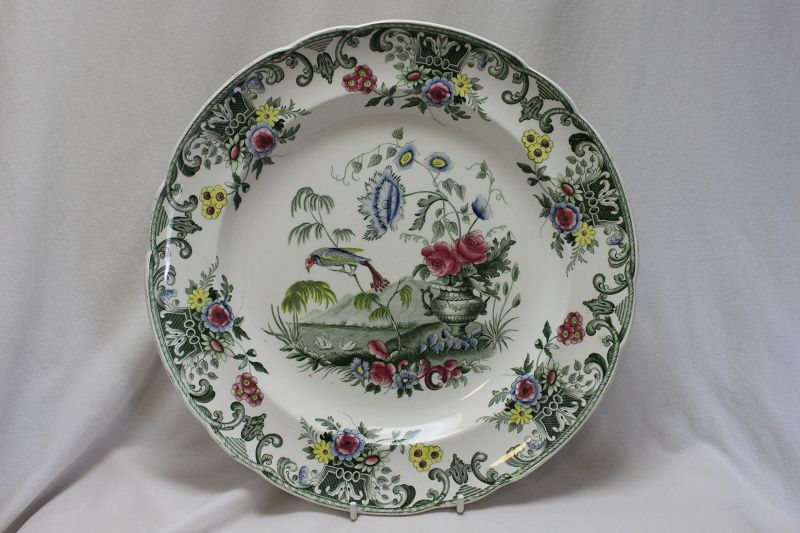 Spode printed plate Macaw pattern