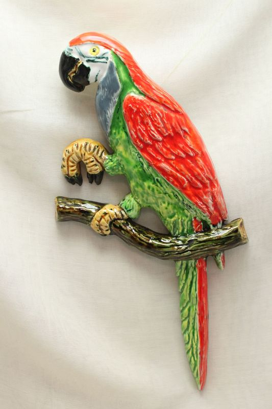 Colourful parrot wall decoration