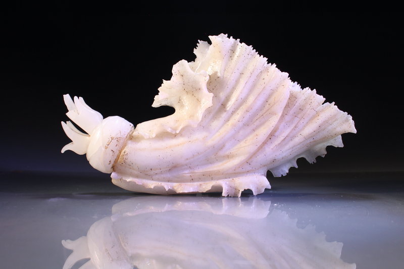 Chinese White Jade Flower carving,
