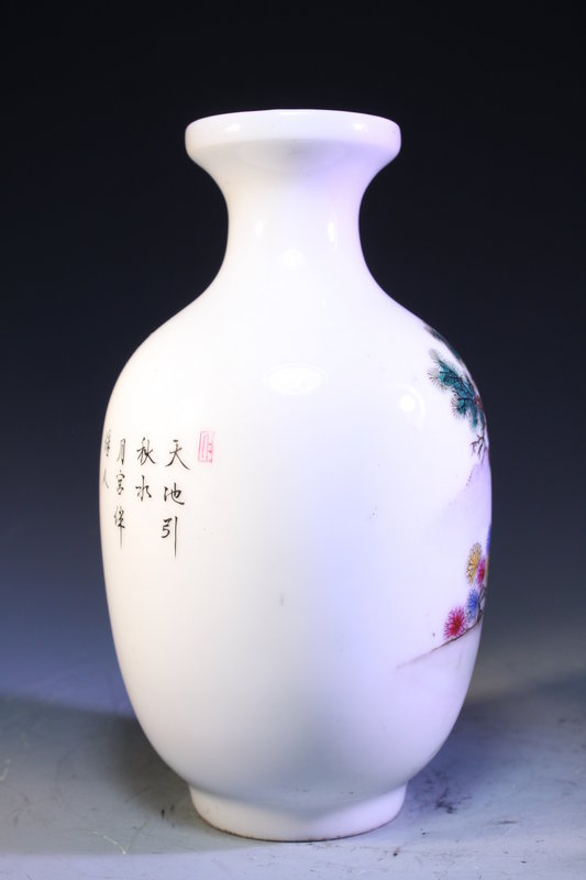 Pair of Chinese Enameled Porcelain Vases,