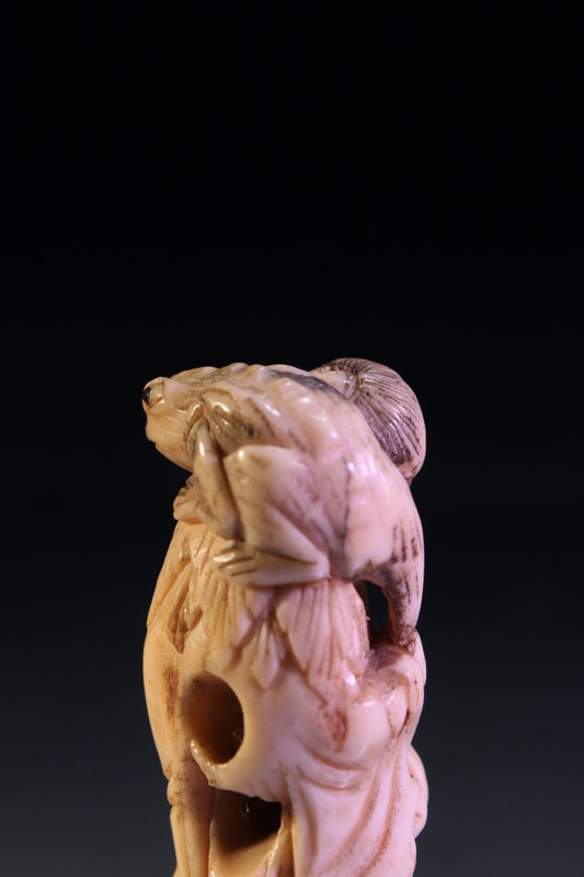 Japanese Antique Antler Netsuke: Gamma Sennin Edo Pd.