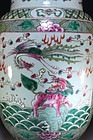 Chinese Famille Verte Enameled Porcelain Dragon Vase