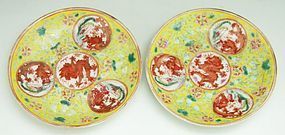 19th C. Pair of Chinese Famille Rose Porcelain Plates.