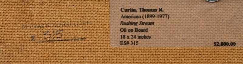 Thomas R. Curtin painting - Rushing Stream