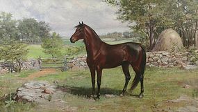 Charles Abel Corwin painting - Morgan horse portrait
