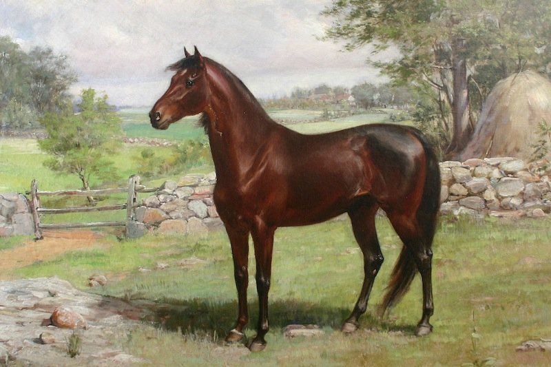 Charles Abel Corwin painting - Morgan horse portrait
