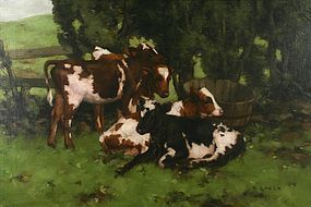 David Gauld painting of Four Calves Resting