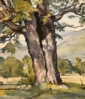 Luigi Lucioni original watercolor landscape - The Enduring Maple