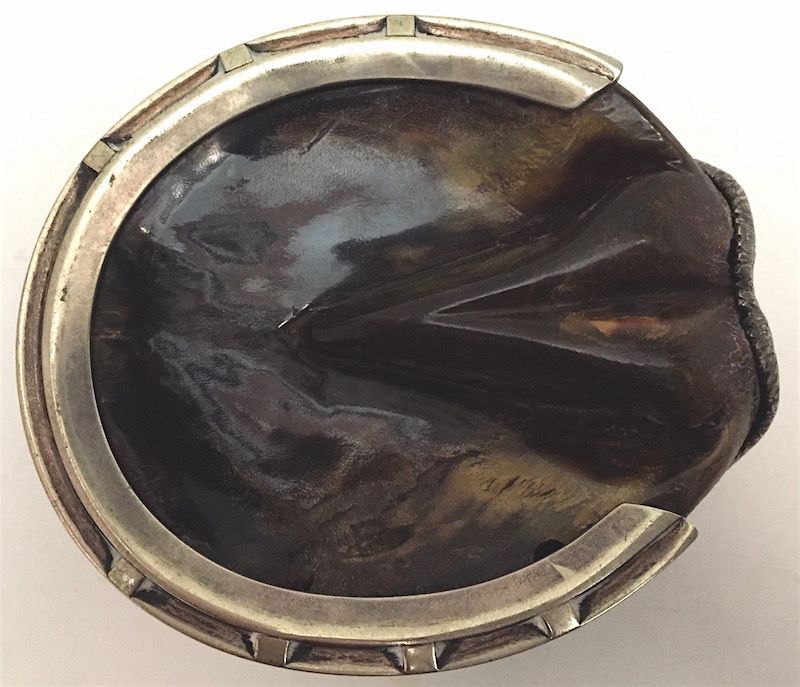 Horse hoof silver plated commemorative inkwell