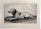 Luigi Lucioni dog etching, Missina, Christmas 1944