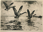 Frank W. Benson signed lithograph, Geese in Flight