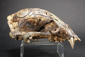 Important Adorned Bear Skull, Dayak Peoples