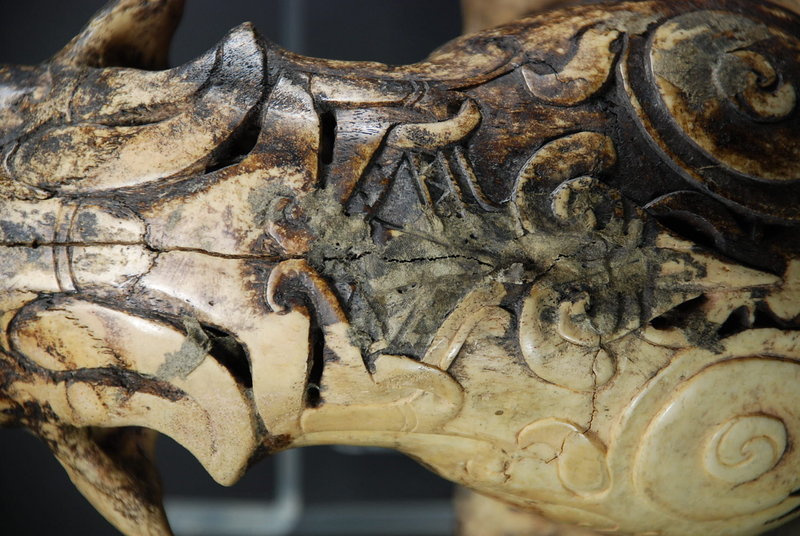 Important Adorned Bear Skull, Dayak Peoples