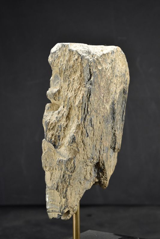 Fragmentary Stone Relief , Gandhara, Ca. 3rd C.