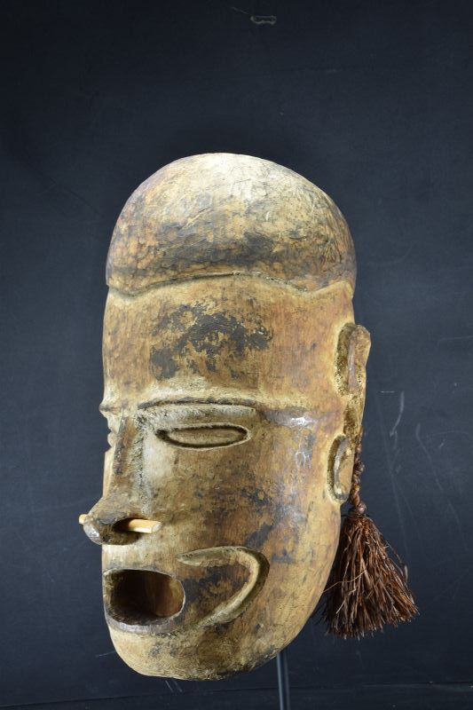 A Rare Replacement Head, Papua New Guinea