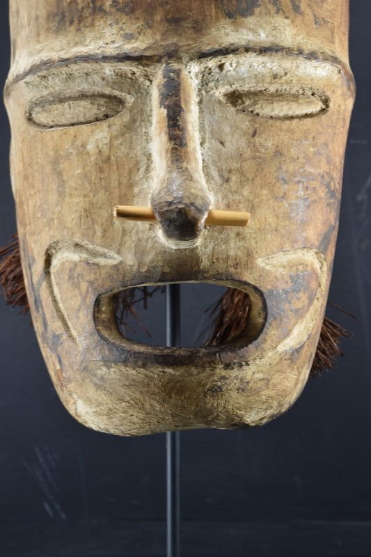 A Rare Replacement Head, Papua New Guinea