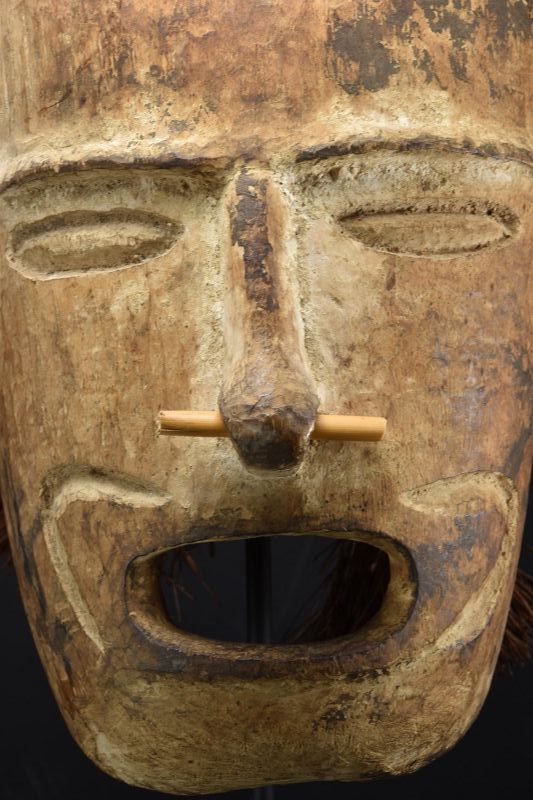 A Rare Replacement Head, Papua New Guinea