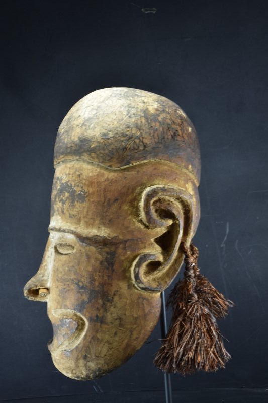 A Rare Replacement Head, Papua New Guinea