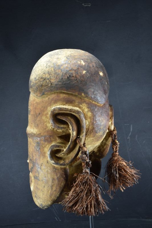 A Rare Replacement Head, Papua New Guinea