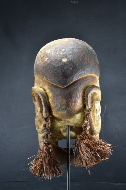 A Rare Replacement Head, Papua New Guinea