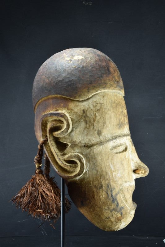 A Rare Replacement Head, Papua New Guinea