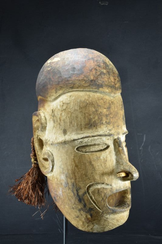 A Rare Replacement Head, Papua New Guinea