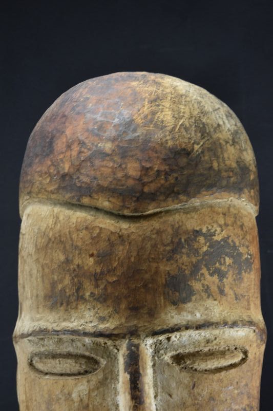 A Rare Replacement Head, Papua New Guinea