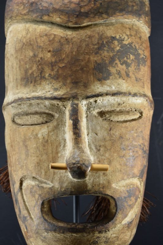 A Rare Replacement Head, Papua New Guinea