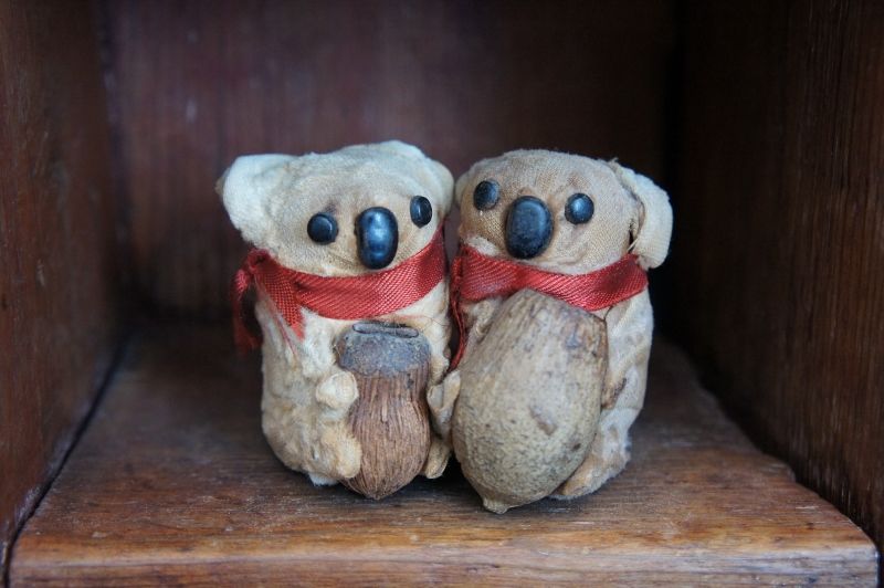 Pair of little antique velvet  Koala bears with button eyes