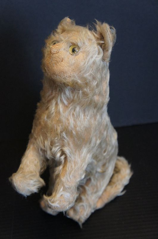 Antique life size mohair cat with glass eyes