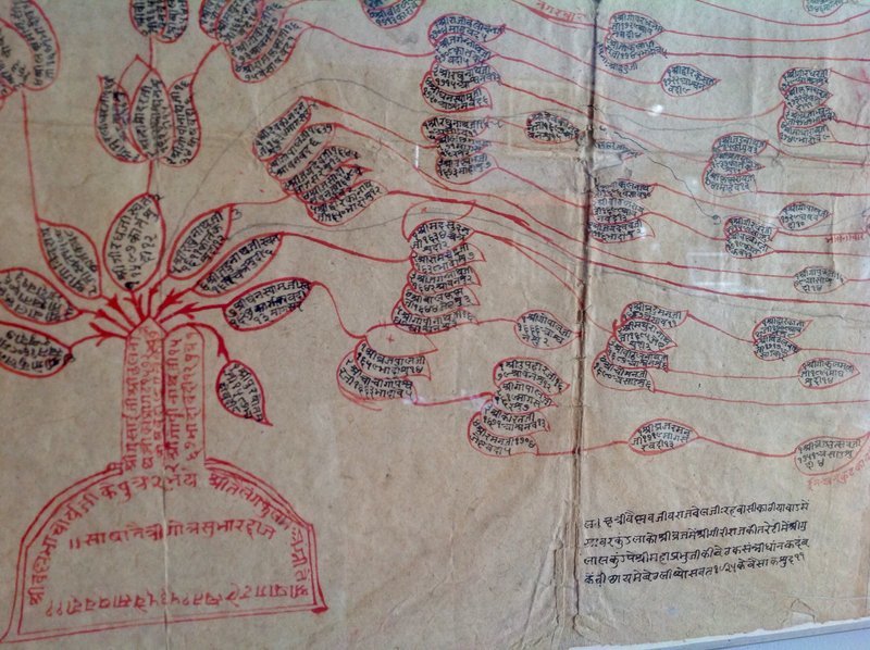 INDIAN RELIGIOUS TREE IMAGE