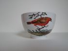German teacup with hand painted bird, circa 1780 prob. Ansbach