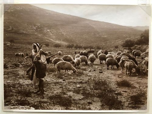 Photo of a Bedouin shepherd American Colony c.1920