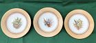 3 Royal Worcester hand painted floral plates. England 1877