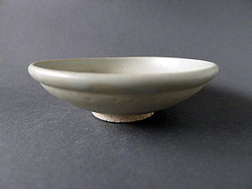 A  Tang - Five Dynasties white glazed dish