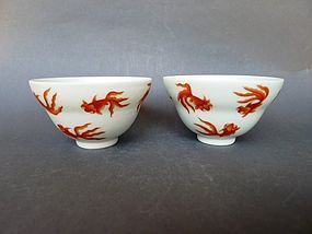 A pair of Daoguang marked iron-red fish bowls