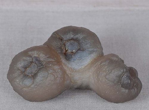 19c Chinese scholar agate fingering piece 3 PERSIMMONS