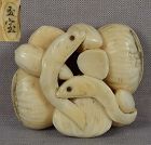 19c netsuke EELS & CHESTNUTS by GYOKUHO