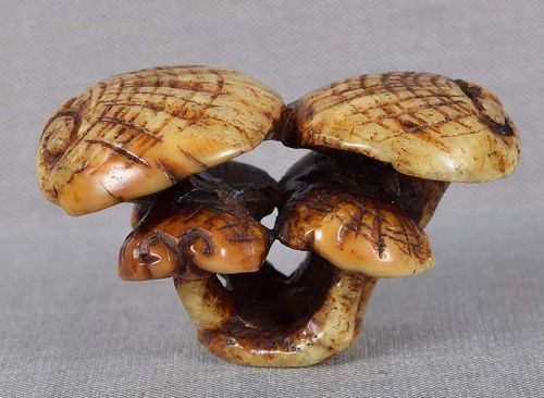 19c marine netsuke Asakusa school FUNGUS OF IMMORTALITY