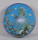 19c Japanese CLOISONNE tea ceremony KOGO